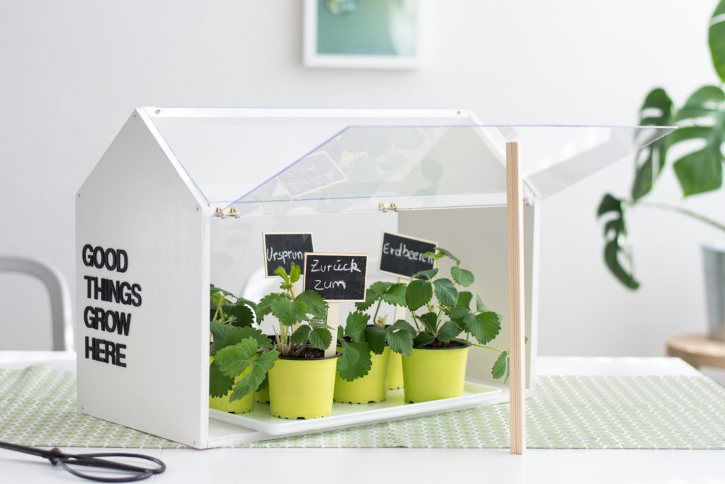 DIY|Mini-Gewächshaus aus Holz und Acrylglas für die Wohnung selber bauen