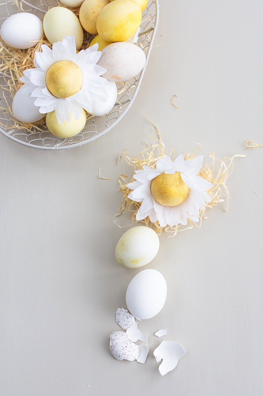 Ostereier mit Curcuma färben + DIY Eier-Blumen aus Krepppapier