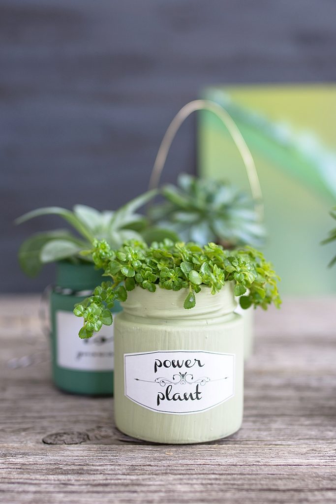 Upcycling Idee: Vom Pesto-Glas zum Blumentopf + DIY Kreidefarbe
