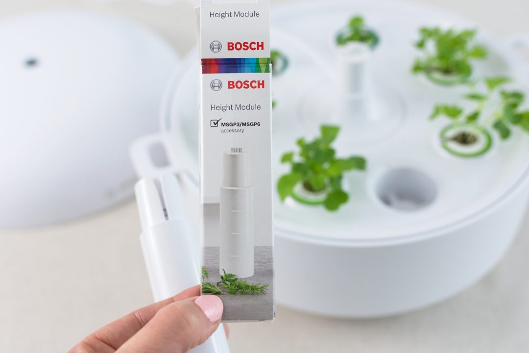 Vom Samen zur Pflanze in nur 3 Wochen + die häufigsten Fragen zum