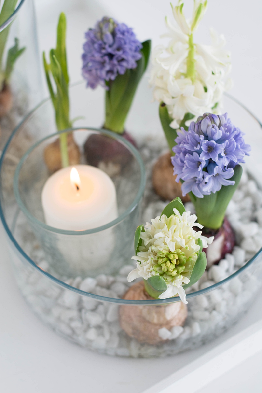 51+ Blume Im Glas Selber Machen, Für diese frühlinsgdeko benötigst