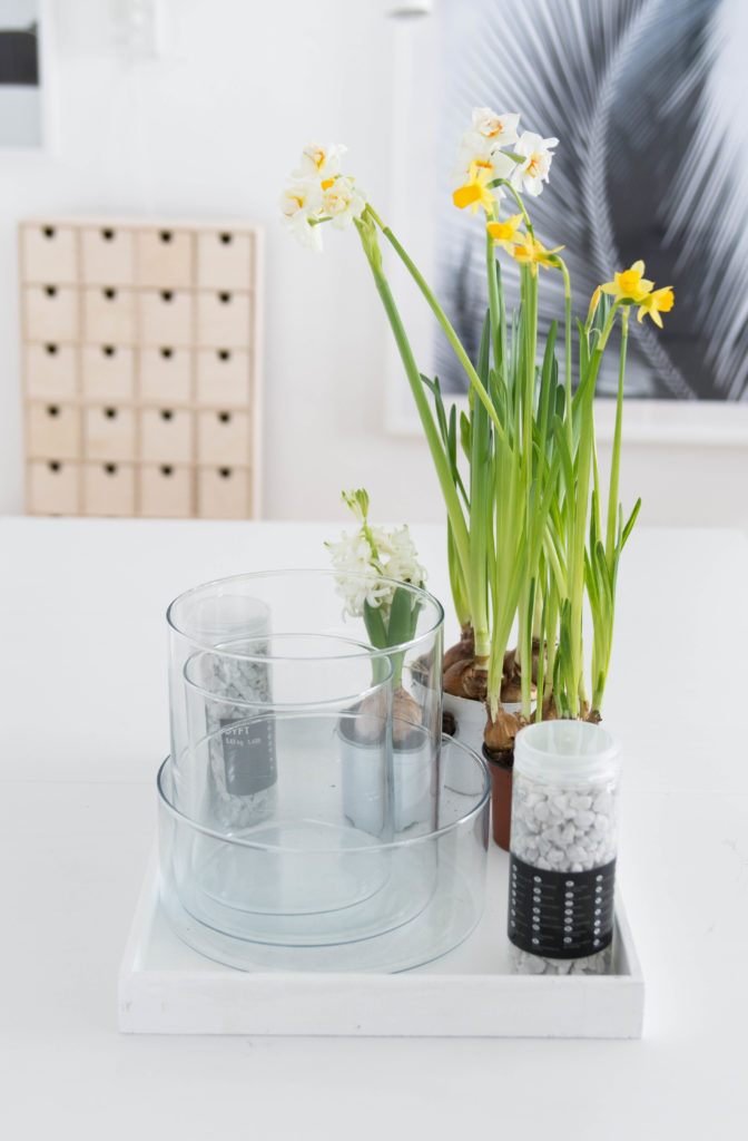 Die schnelle Deko-Idee: Einfaches Frühlings-Arrangement im Glas