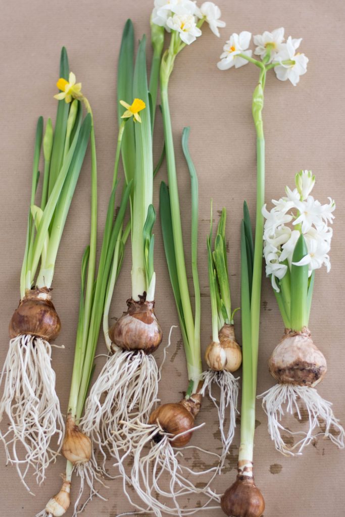 Die schnelle Deko-Idee: Einfaches Frühlings-Arrangement im Glas