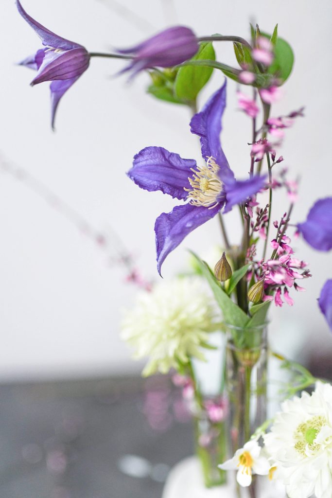 DIY: Blumenvasen aus Gips für den Frühling