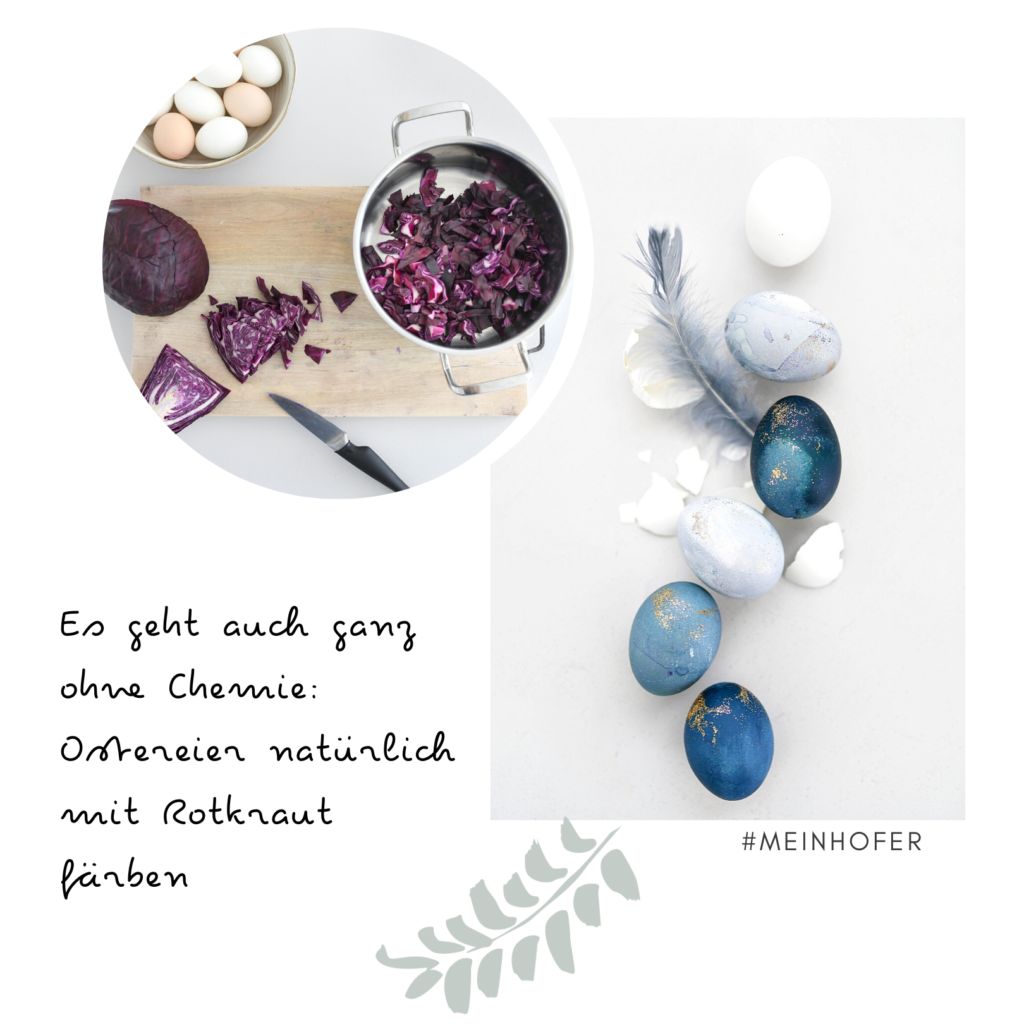 DIY: Ostereier mit Rotkohl färben #meinhofer #dabinichmirsicher #hoferat