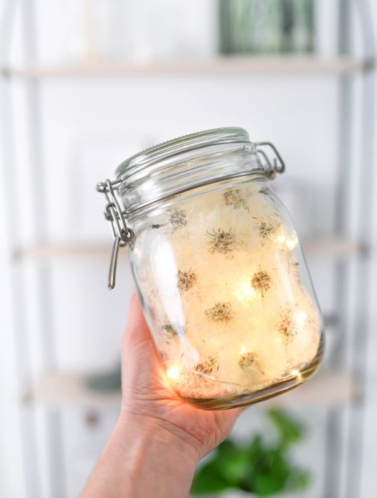 DIY Wunschglas mit echten Pusteblumen