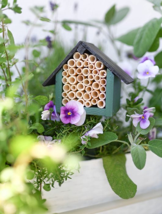 Bienenhotel selber bauen