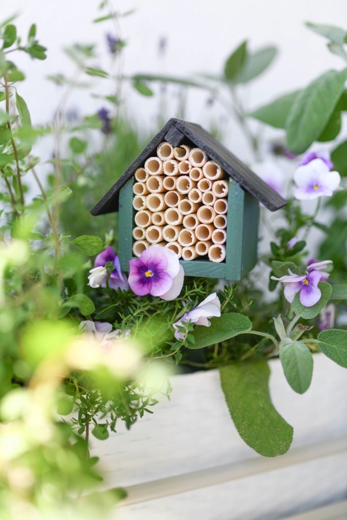 Immer schön hereingeflogen: Ein Mini Bienenhotel für Balkon und Terrasse selber bauen