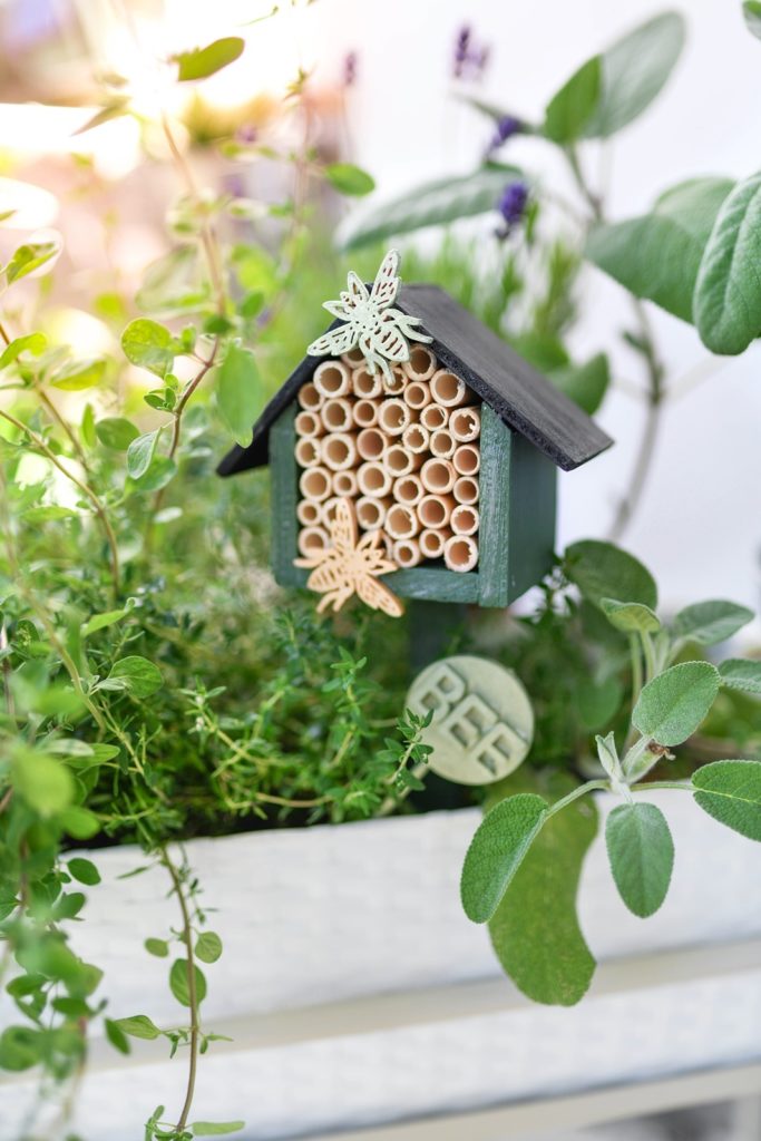 Immer schön hereingeflogen: Ein Mini Bienenhotel für Balkon und Terrasse selber bauen