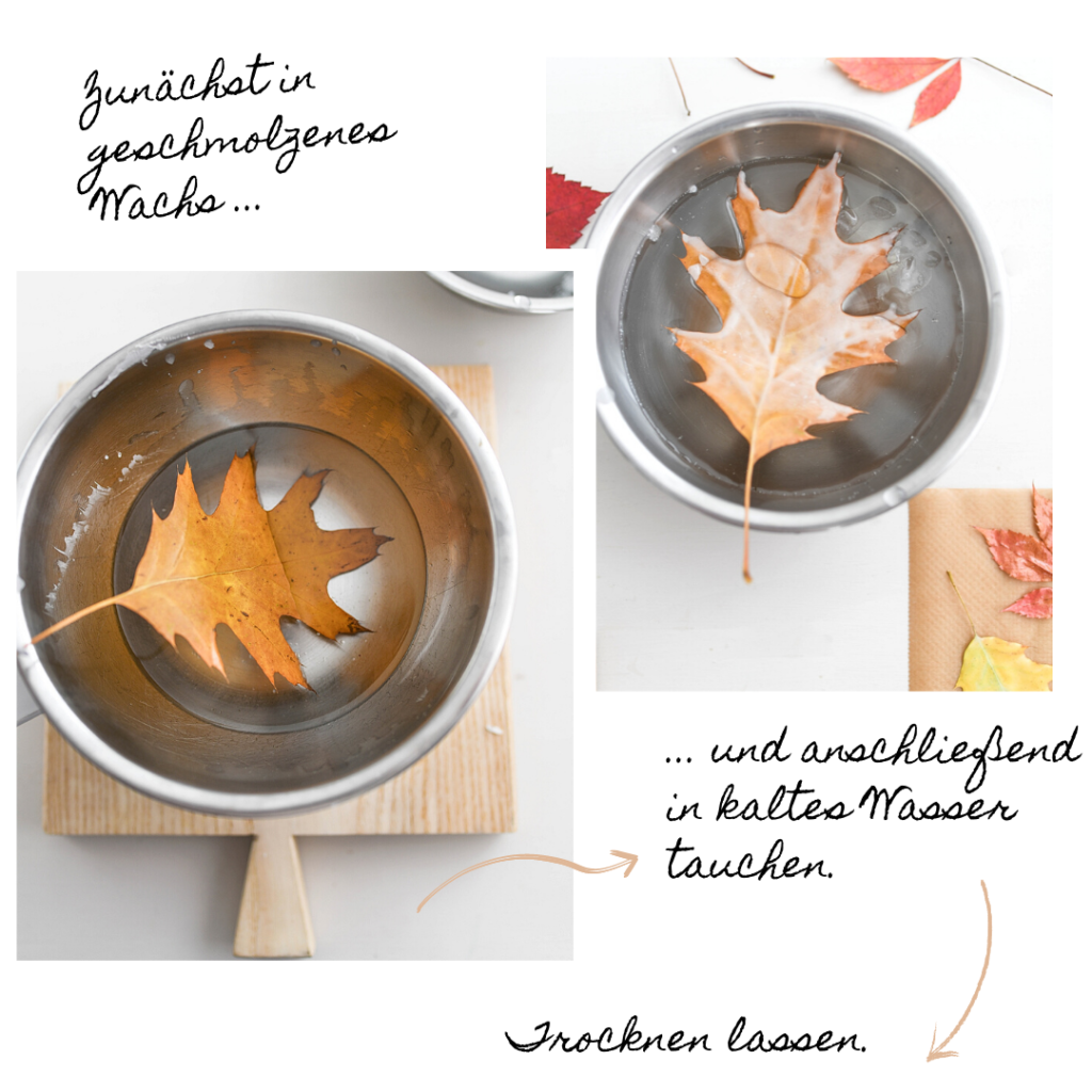DIY | Bunte Herbstblätter mit geschmolzenem Wachs konservieren