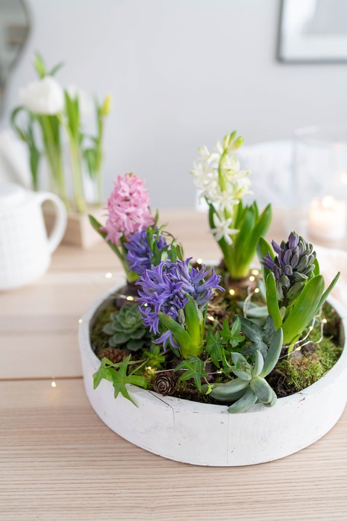 Duftende Deko für den Tisch: Frühlingsschalen mit Hyazinthen und Sukkulenten