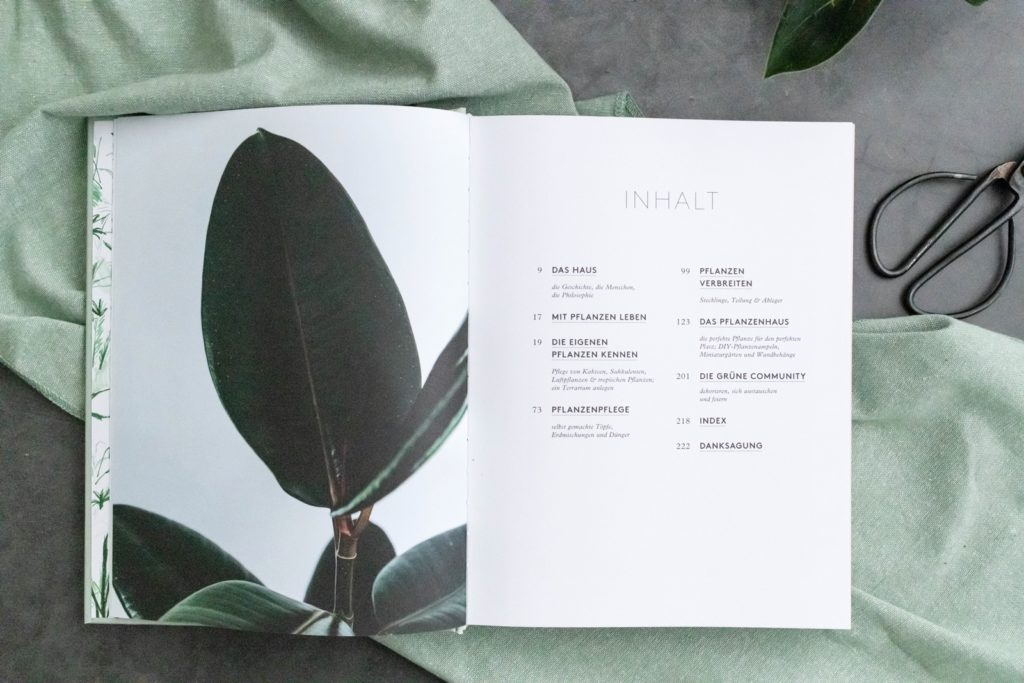 Buchtipp | House of Plants - Mit Sukkulenten, Luftpflanzen und Kakteen leben von Caro Langton & Rose Ray