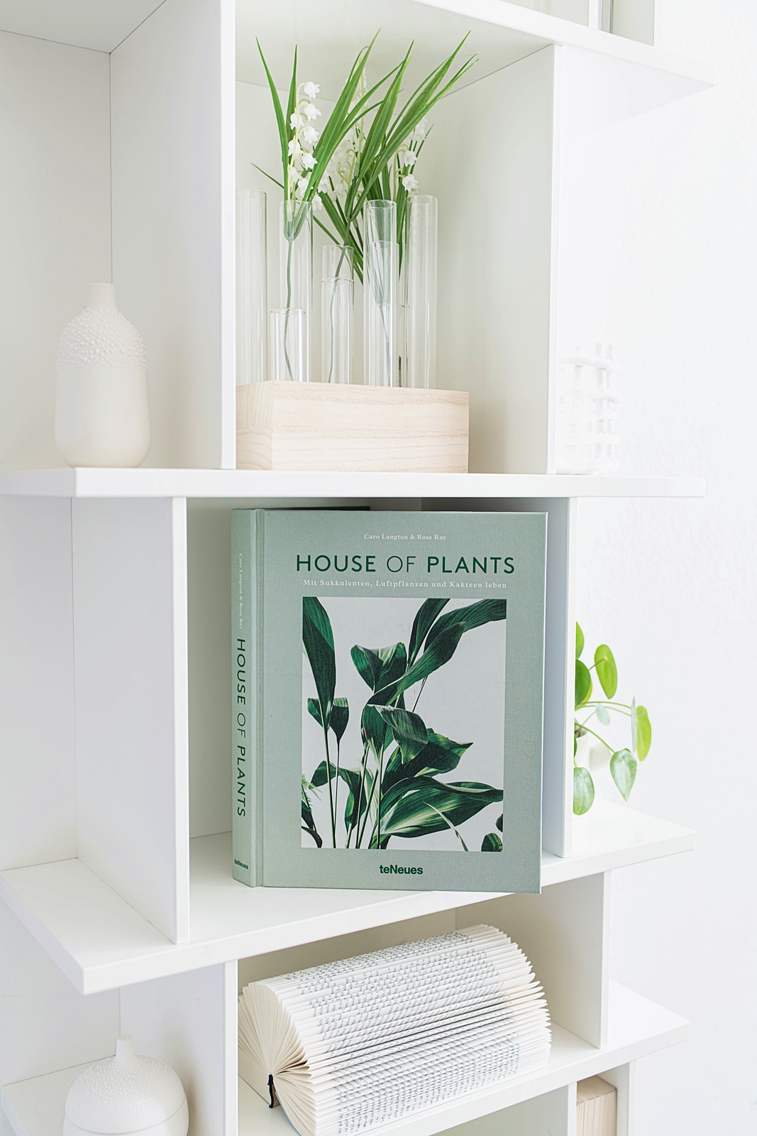 Buchtipp   House of Plants   Mit Sukkulenten, Luftpflanzen und ...