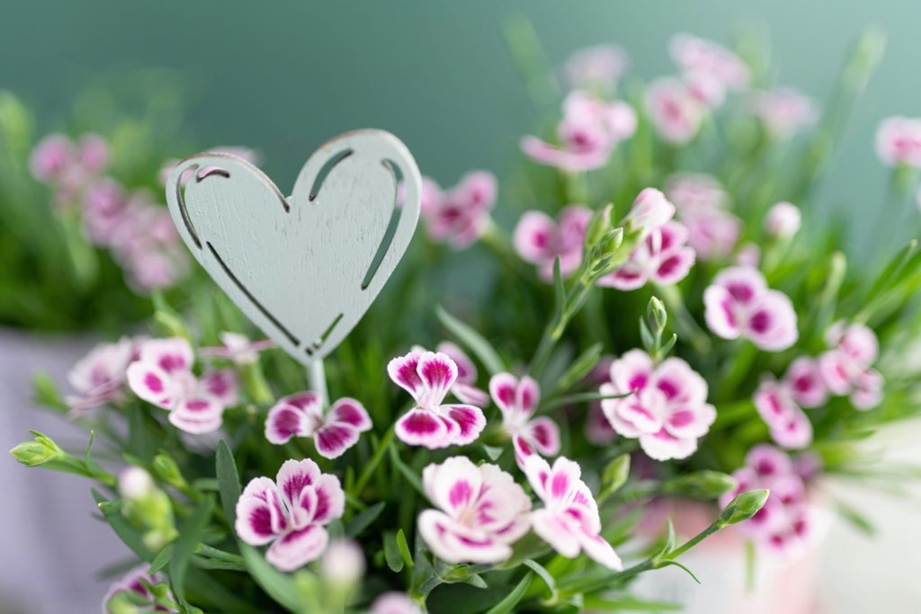 Upcycling-Idee zum Muttertag: Bepflanzte Blumenampel mit Pink Kisses aus Konservendosen selber machen