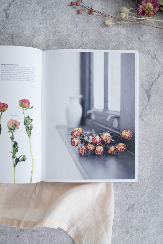 Buchtipp | Trockenblumen – vom Samen bis zum Arrangement von Carolyn Dunster
